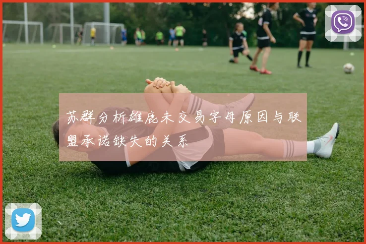 苏群分析雄鹿未交易字母原因与联盟承诺缺失的关系