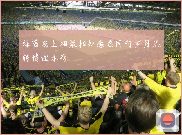 绿茵场上相聚相知感恩同行岁月流转情谊永存