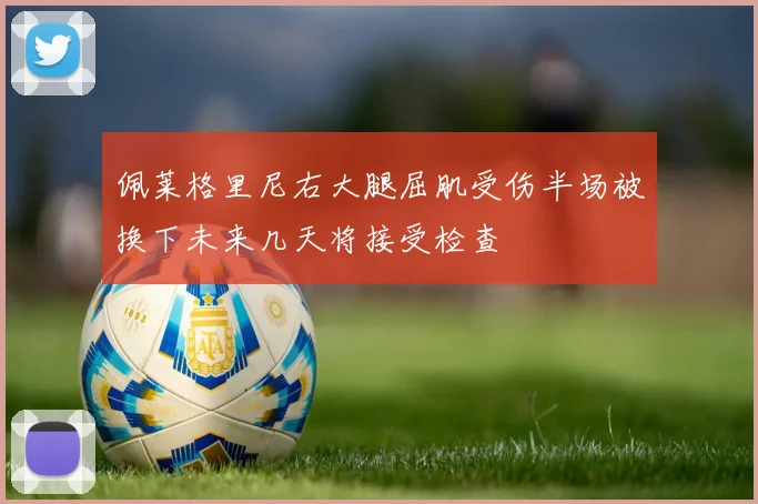 佩莱格里尼右大腿屈肌受伤半场被换下未来几天将接受检查